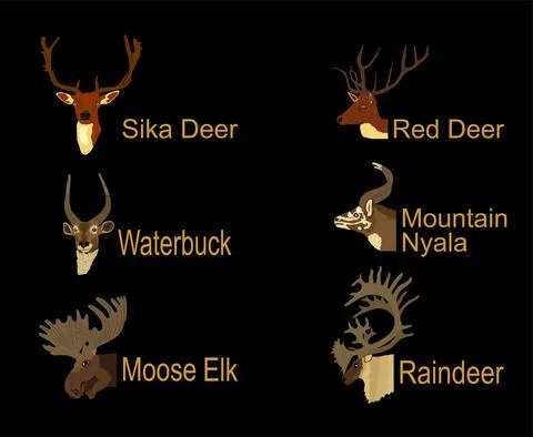 Deer head collection vector illustration isolated on black background Illustrazione stock