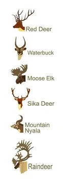 Deer head collection vector illustration isolated on white Stock Illustration