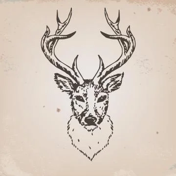 Deer head Stock Illustration