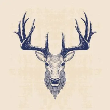 Deer head Stock Illustration