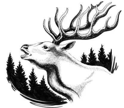 Deer head Stock Illustration