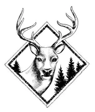 Deer head Illustrazione stock