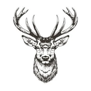 Deer Head Monochrome Grunge Vector Illustration Stock Illustration