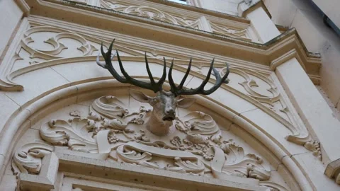 Deer head sculpture on the castle Stock Footage 256623498