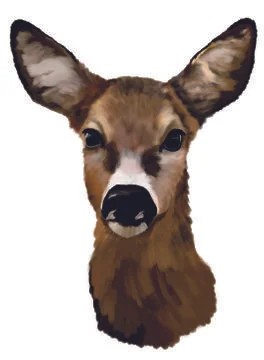 Deer head on a white background Stock-Illustration