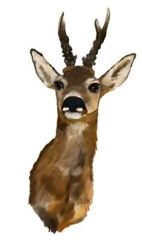 Deer head on a white background Stock-Illustration