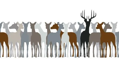 Deer herd Stock Illustration