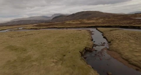Deer herd, Scotland Stock Footage 265143379