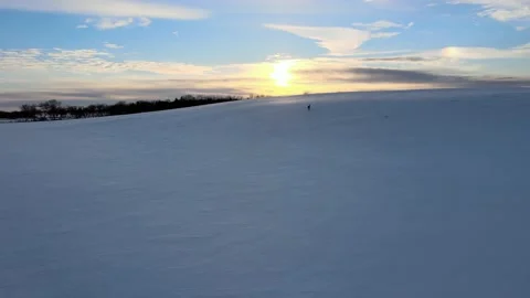 Deer on the Hill Stock Footage 169055231