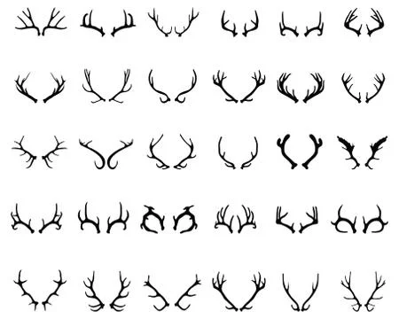 Deer horns Stock Illustration