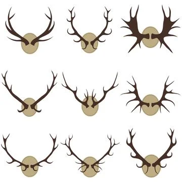 Deer horns Stock Illustration