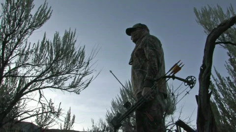 Deer Hunter Archery sunset bow arrow hunt M HD Stock Footage