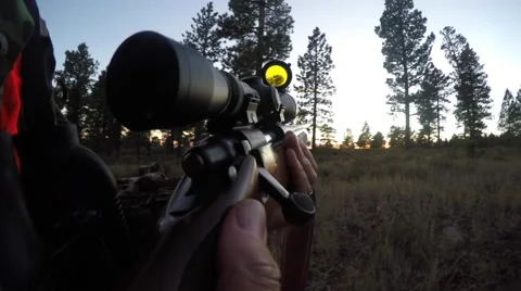 A deer hunter walks through the green woods with rifle Stock Footage 56071037