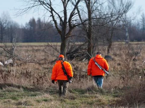 Deer Hunting Stock Photos