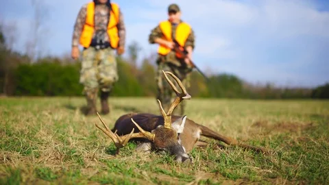 Deer Hunting Traditions Stock Footage 82806346