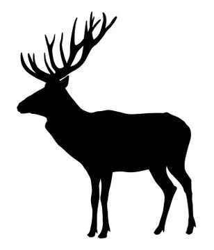 Deer Stock Illustration