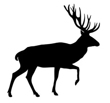 Deer Stock Illustration