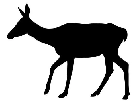 Deer Stock Illustration