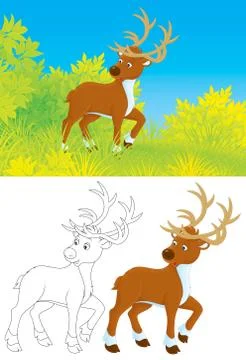 Deer Illustrazione stock