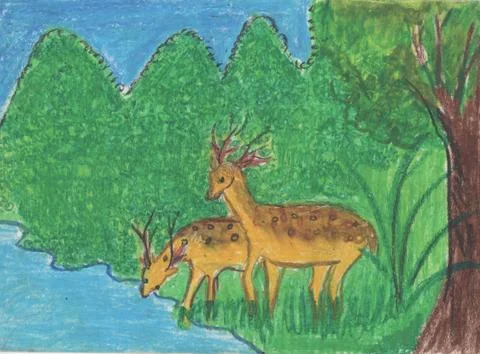 Deer Stock Illustration