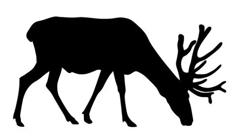 Deer Stock Illustration