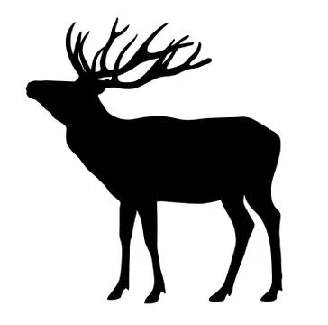 Deer Stock Illustration