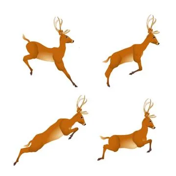 Deer Stock Illustration