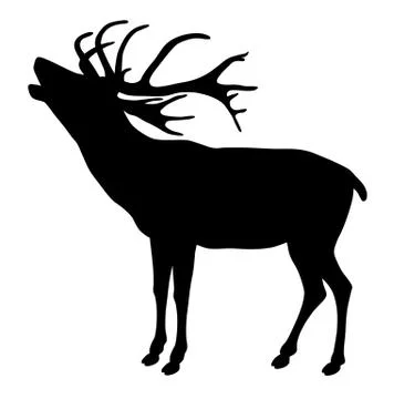 Deer Stock Illustration