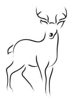 Deer Stock Illustration