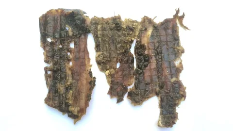 Deer Jerky Texture. Stock Footage 280161353