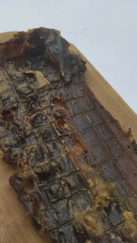 Deer Jerky Texture. Stock Footage 280161545