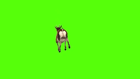 Deer jump Attack Green Screen Animation 4K Rendering Stockbeeldmateriaal 278137641
