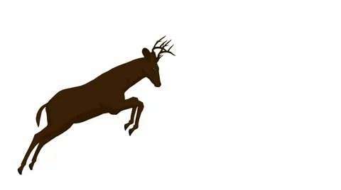 Deer jumping Stock Footage 941923