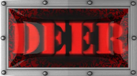 Deer on led Видео 8693839