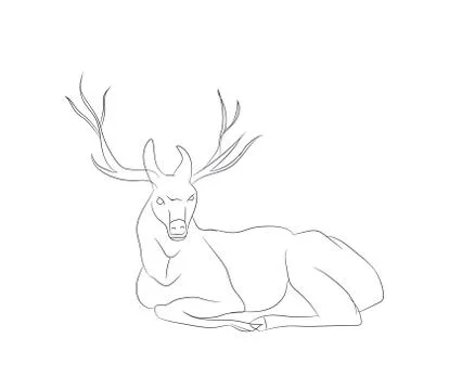 Deer lies, lines, vector Stock-Illustration