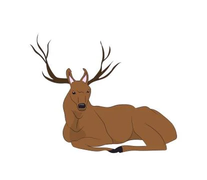 Deer lies, vector Illustrazione stock