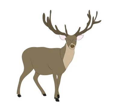 Deer lies, vector Stock Illustration