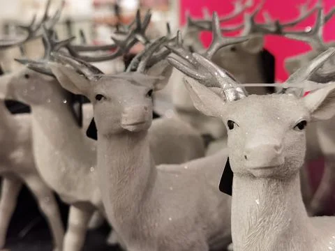 Deer lined up one behind the other with different directions of view Stock Photos