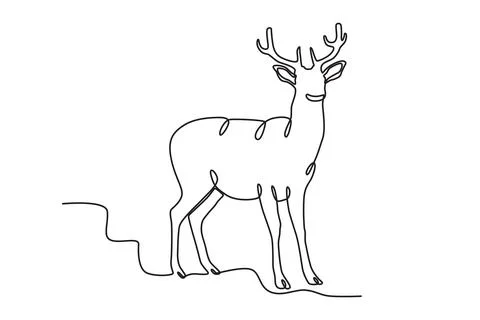 A deer looking forward Stock Illustration