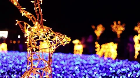 Deer made of glowing bulbs at night, festive lights for the new year Stock Footage 296542172