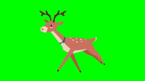A Deer or antlered running at high speed in nature with white spots on its body Stock Footage 286339081