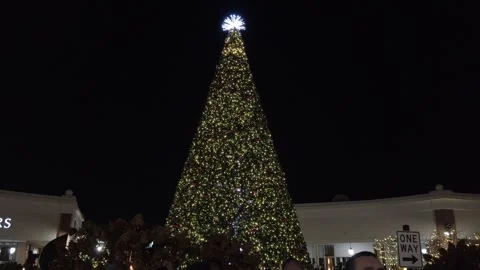 Deer Park Christmas Tree Illuminated at Night Editorial Stock Footage 340562745