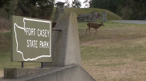 Deer Park Sign Video stock 343487