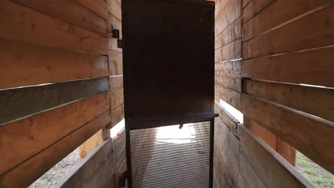 DEER PEN Stock Footage 158126408