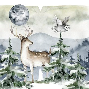 Deer with pine forest and owl, watercolor hand drawn illustration isolated on Stock Illustration