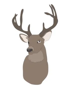 Deer portrait, color drawing vector Illustrazione stock