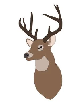 Deer portrait, color drawing vector Illustrazione stock