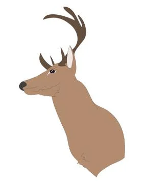 Deer portrait, color drawing vector Stock Illustration