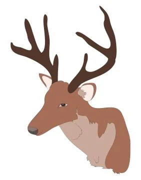 Deer portrait, color drawing vector Illustrazione stock