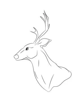Deer portrait lines, vector Illustrazione stock
